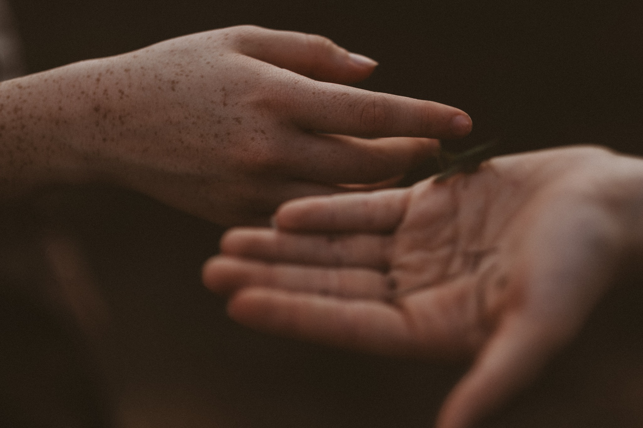 Close detail photograph of hands in warm low light